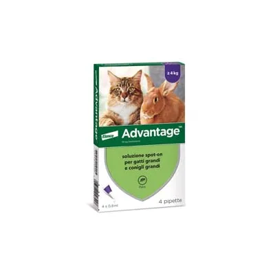 ANTIPARASSITARIO "ADVANTAGE" PER GATTI E CONIGLI OLTRE KG.4