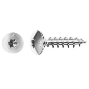 VITI PANEL-VIT TC TESTA FUNGO TORX CON COLLARE SOTTOTESTA CHROMITING