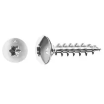 VITI PANEL-VIT TC TESTA FUNGO TORX CON COLLARE SOTTOTESTA CHROMITING