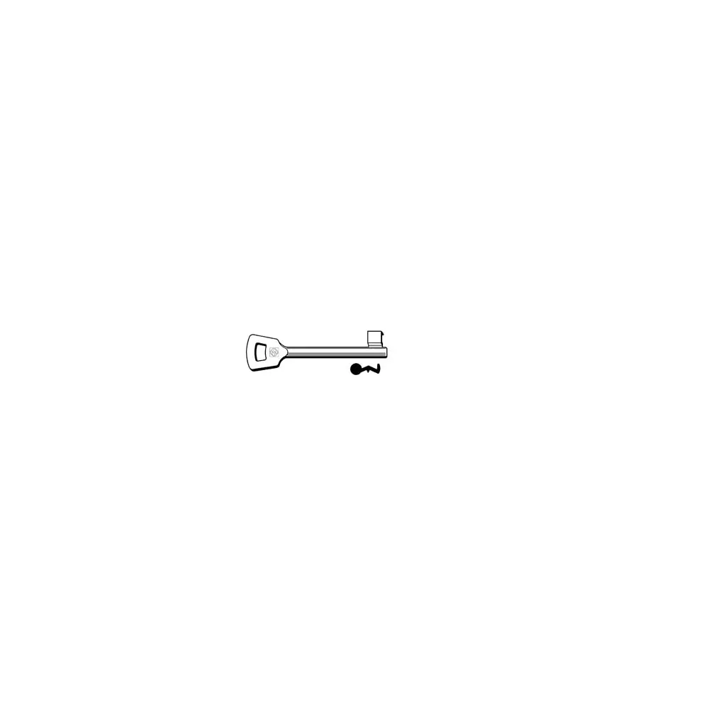 CHIAVI PATENT PASSEPARTOUT NEMEF 6NFH5L