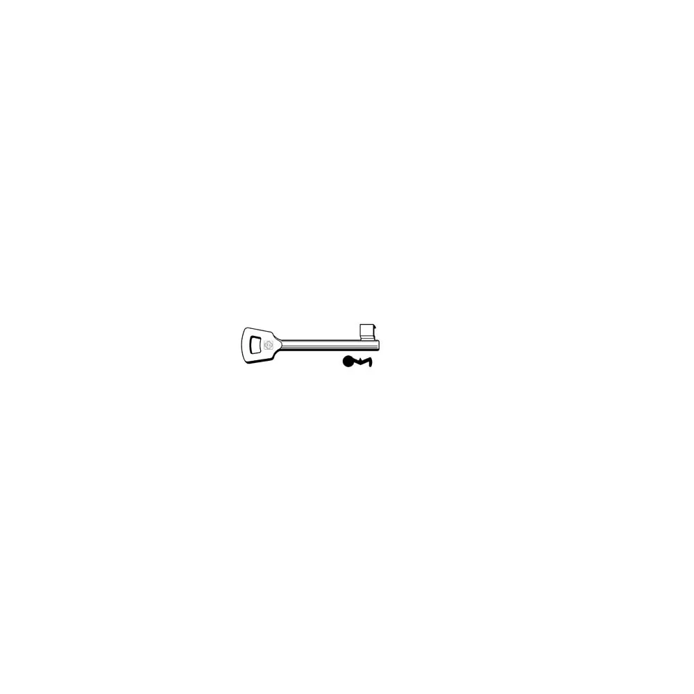 CHIAVI PATENT PASSEPARTOUT NEMEF 6NFH6L