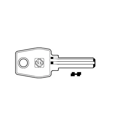 CHIAVI PUNZONATE PER CILINDRI EURO LOCKS 5+5 SPINE EU17