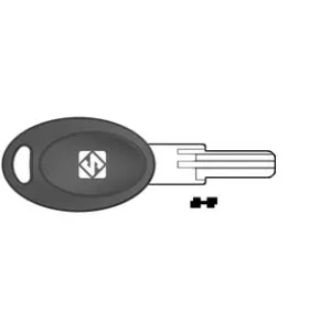 CHIAVI PUNZONATE PER CILINDRI EURO LOCKS 5 SPINE EU21P