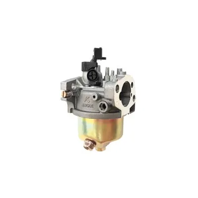 CARBURATORE PER RASAERBA