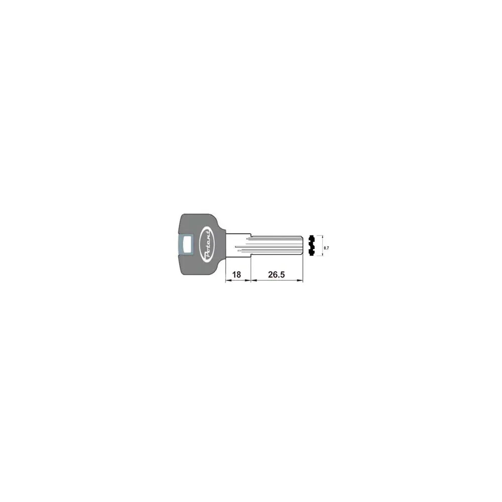 CHIAVE GREZZA PROFILO PIATTO 4000.K.G R1
