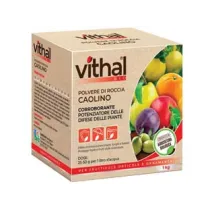 POLVERE DI ROCCIA CAOLINO VITHAL BIO