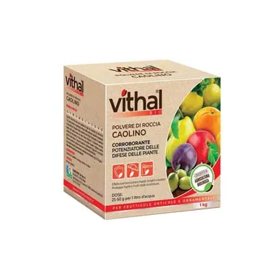 POLVERE DI ROCCIA CAOLINO VITHAL BIO