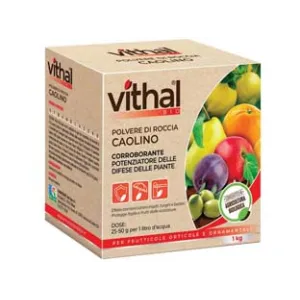 POLVERE DI ROCCIA CAOLINO VITHAL BIO