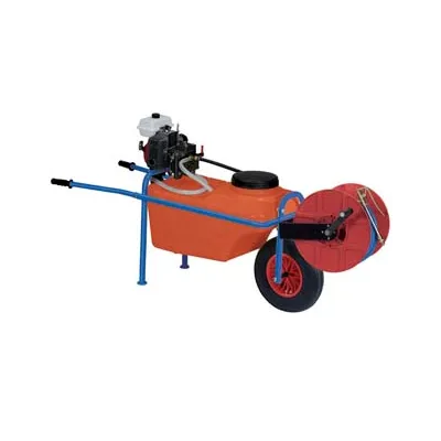 POMPA ALTA PRESSIONE ALISEO MOTORE 4T 2 HP CON CARRELLO E TUBO