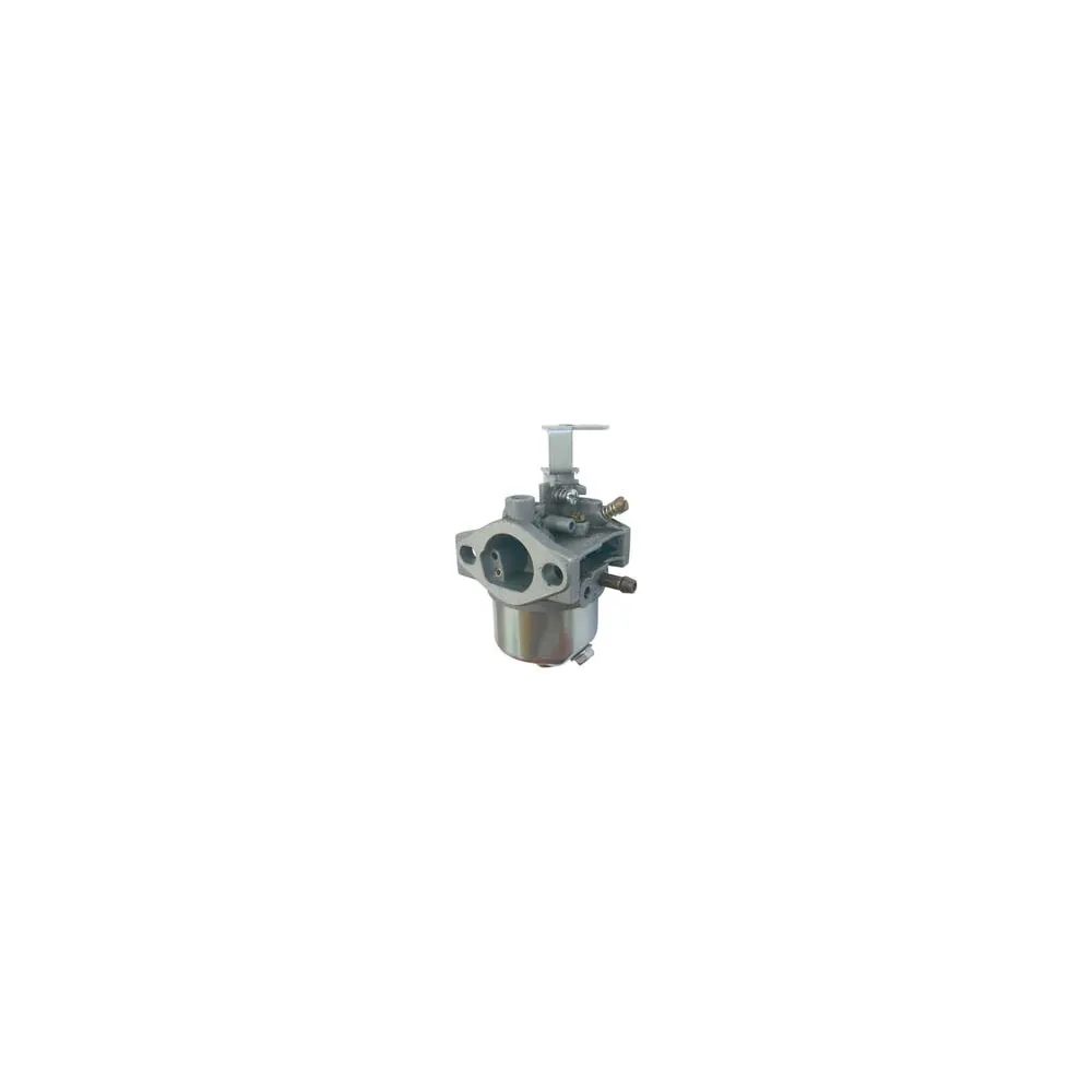 CARBURATORE PER RASAERBA