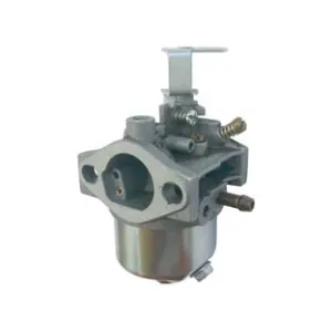 CARBURATORE PER RASAERBA