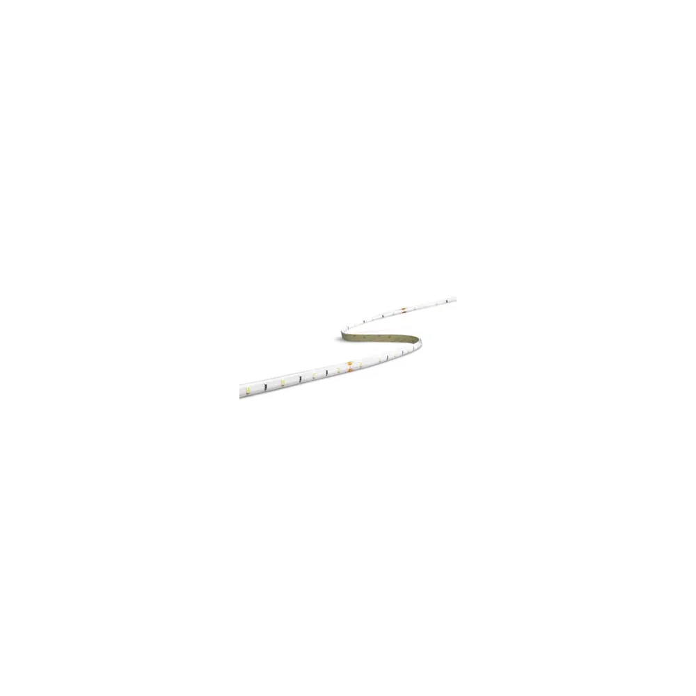 STRISCIA LED ACCENTO IP65