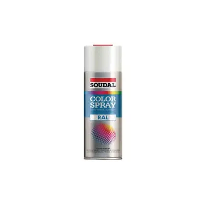 COLOR SPRAY SMALTO ACRILICO SPRAY