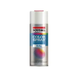 COLOR SPRAY SMALTO ACRILICO SPRAY