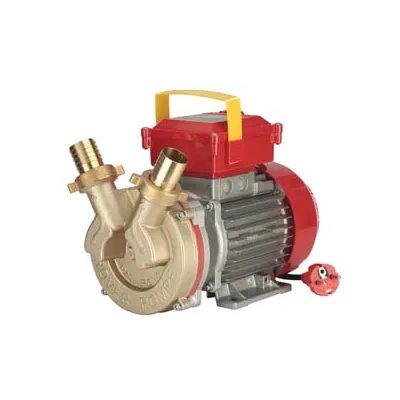 ELETTROPOMPA IN BRONZO BISENSO DA TRAVASO ROVER 40 CE