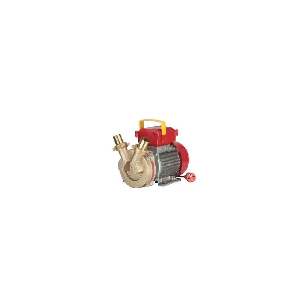 ELETTROPOMPA IN BRONZO BISENSO DA TRAVASO ROVER 40 CE