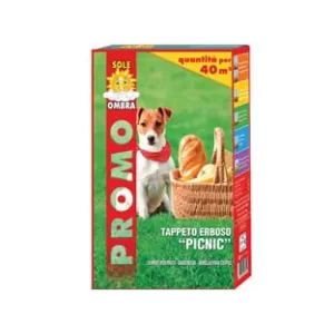 SEMI PRATO ORNAMENTALE PICNIC