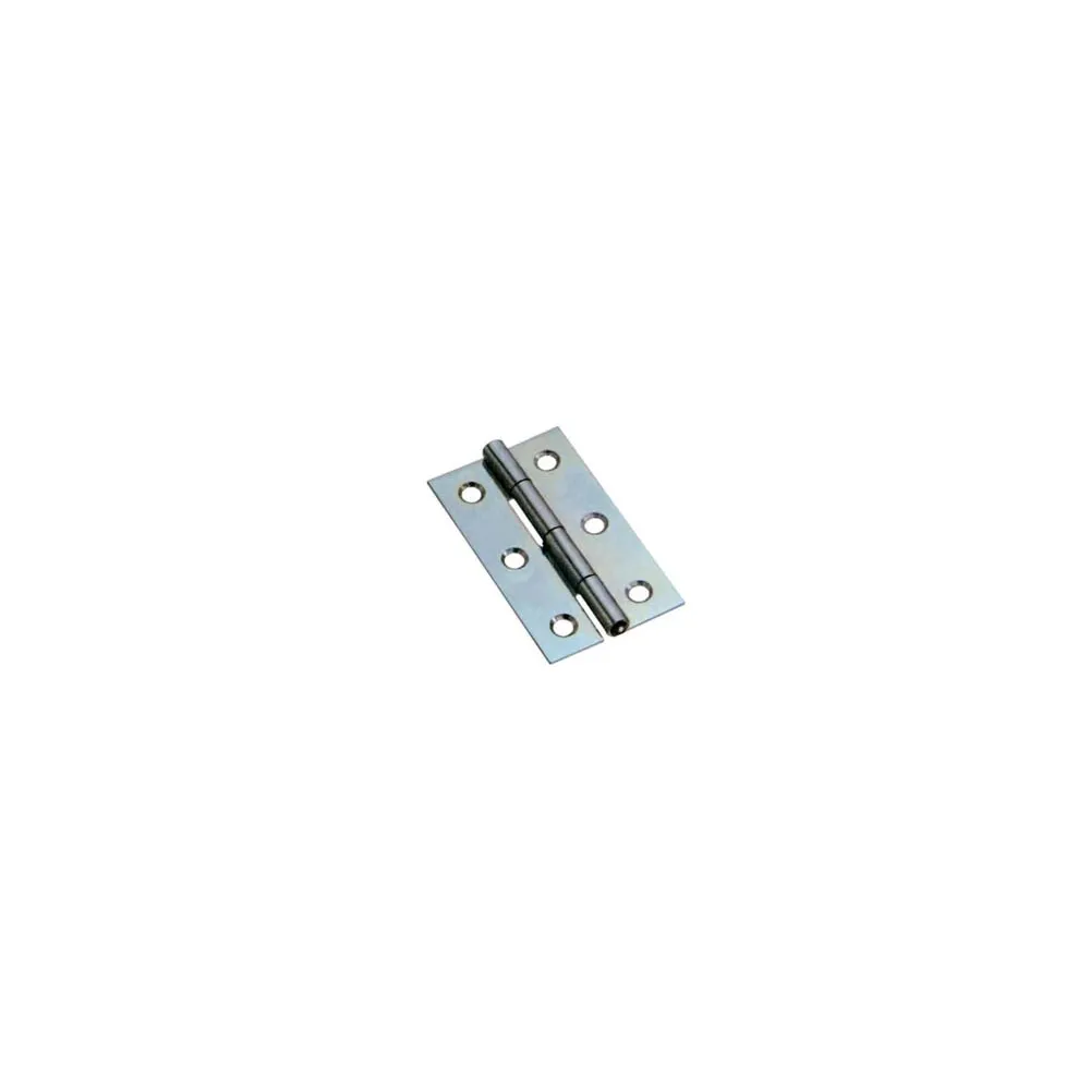 CERNIERE STRETTE PERNO FISSO ART.120