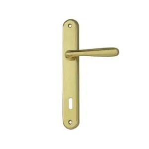 MANIGLIA GOCCIA CON PLACCA IN ZAMA FINITURA OTTONE LUCIDO