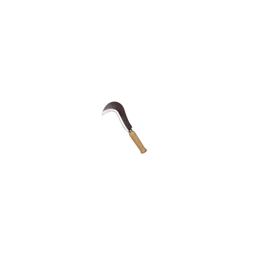 RONCHETTA BECCO LUNGO