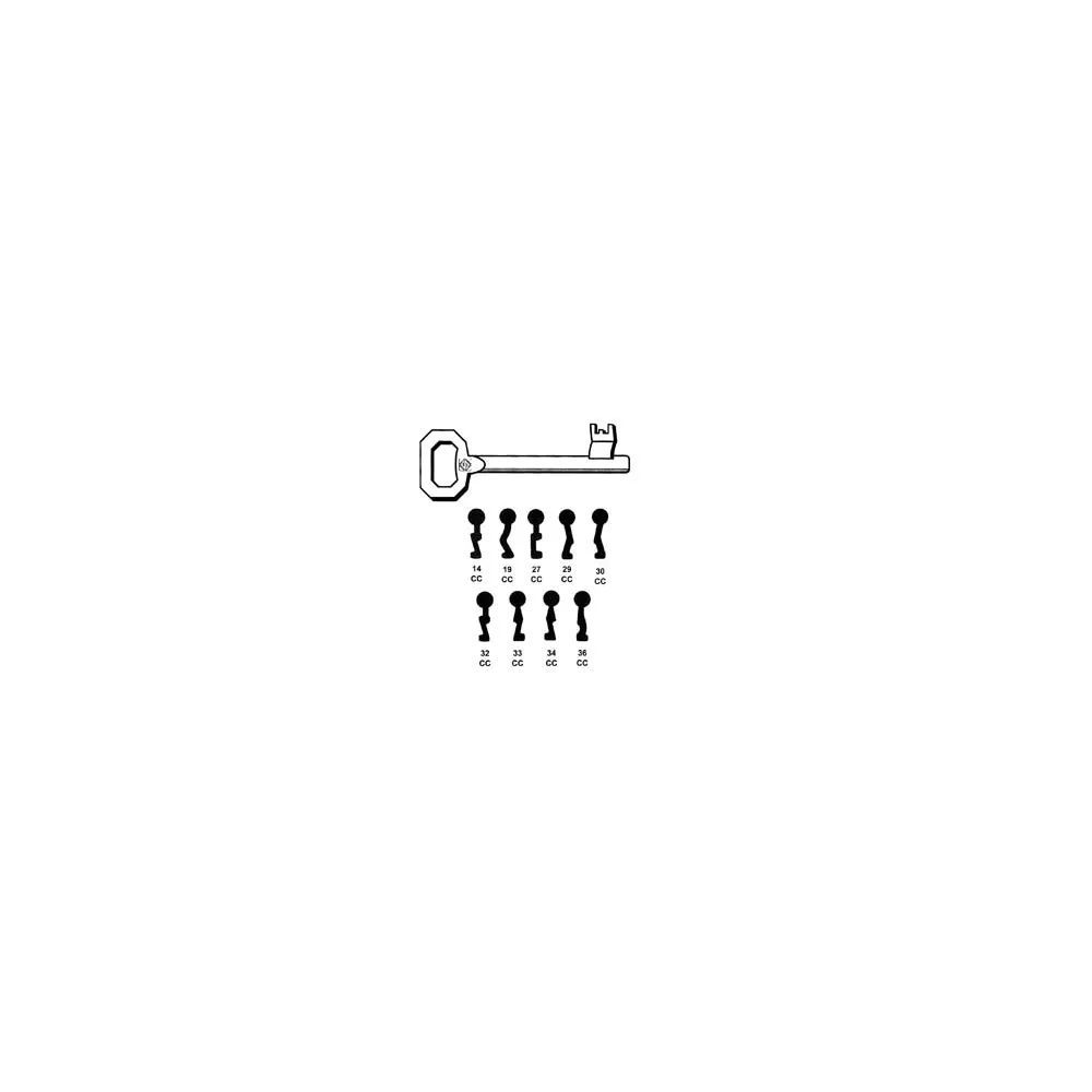 CHIAVI PASSEPARTOUT PATENT PER SERRATURE A BUSSOLA CORNI