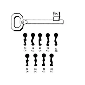 CHIAVI PASSEPARTOUT PATENT PER SERRATURE A BUSSOLA CORNI