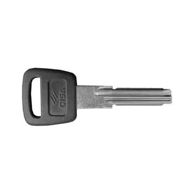 CHIAVE PROFILO PIATTO 00620900