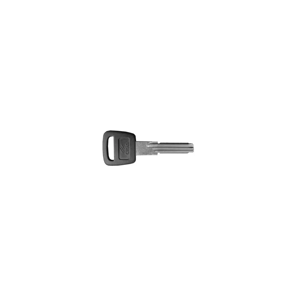 CHIAVE PROFILO PIATTO 00620900