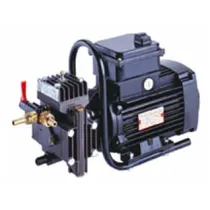 POMPA ALTA PRESSIONE DL218 ELETTRICA 750W PER IRRORAZIONE