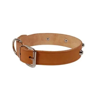 COLLARE PER CANI CUOIO EXTRA NATURALE FINTA CUCITURA CON BORCHIE