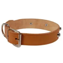 COLLARE PER CANI CUOIO EXTRA NATURALE FINTA CUCITURA CON BORCHIE