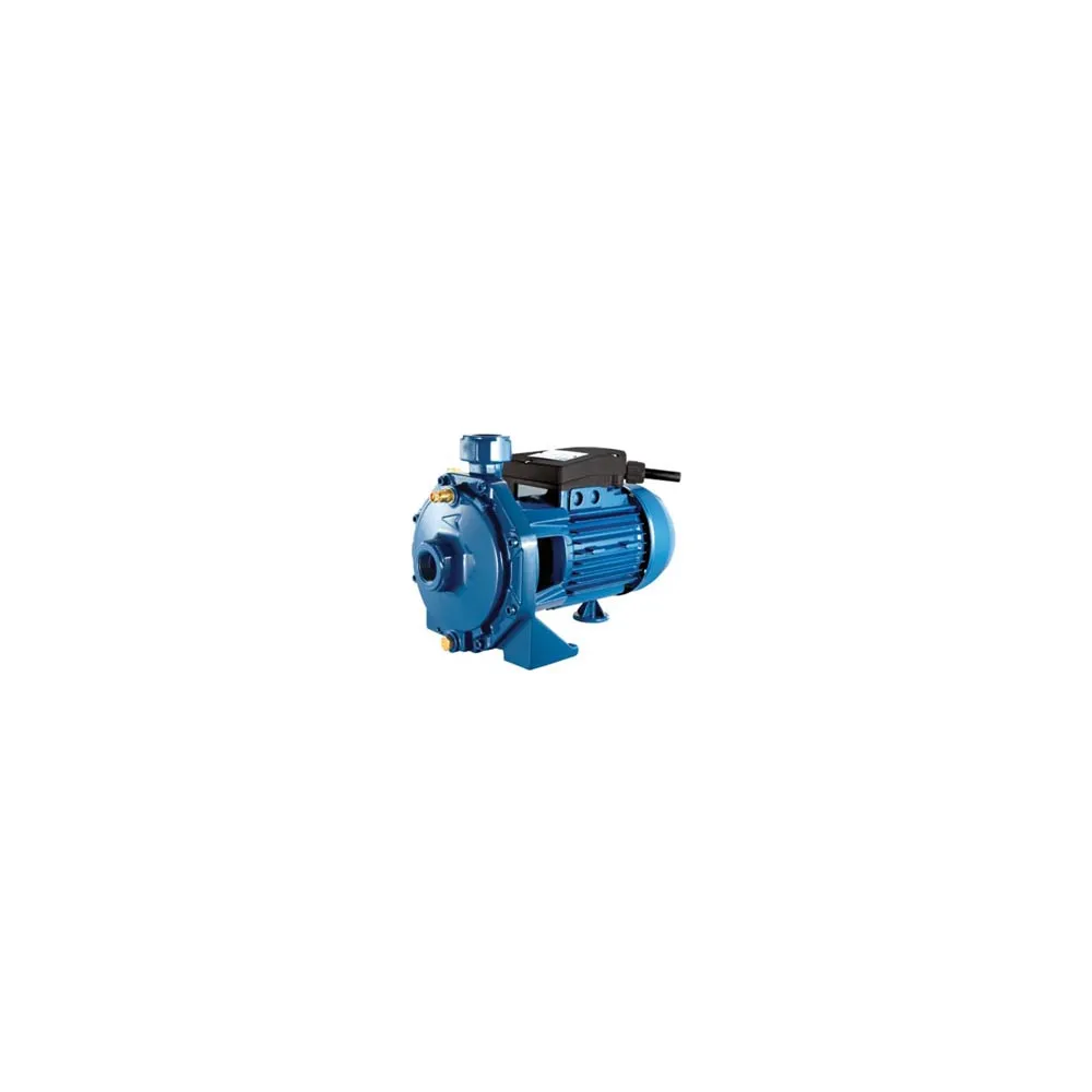 ELETTROPOMPA CENTRIFUGA BIGIRANTE 2 CD68S KW 1