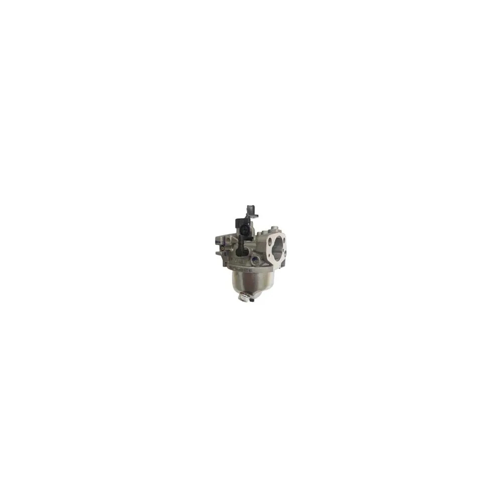 CARBURATORE PER RASAERBA