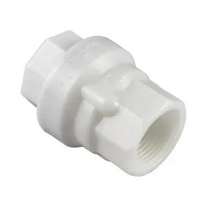 VALVOLA DI RITEGNO IN POM D 1 (5,0 PZ)