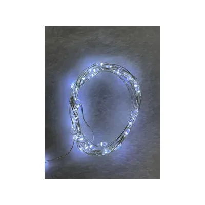 C CATENA LUMINOSA BATT   40 MICROLED BIANCO FREDDO