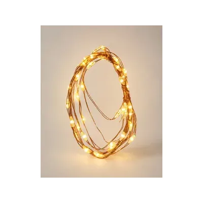 C CATENA LUMINOSA BATT   40 MICROLED BIANCO CALDO