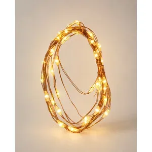 C CATENA LUMINOSA BATT   40 MICROLED BIANCO CALDO