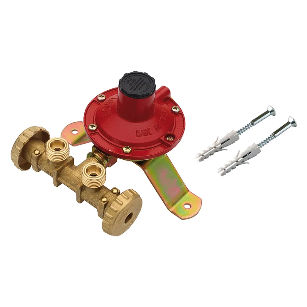CENTRALINA MINI PER GAS SERIE 'MC2200' 2 uscite - kg.4