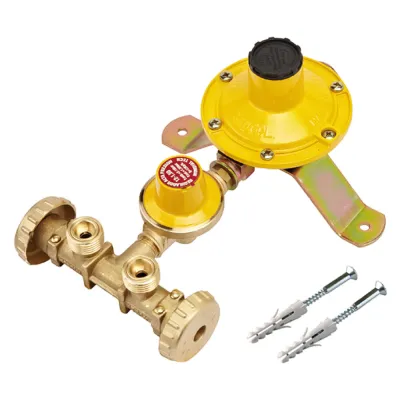 CENTRALINA MINI PER GAS SERIE 'MC2300' 2 uscite - kg.4