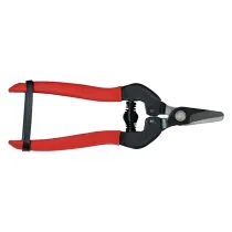 FORBICI COGLIUVA cm 16 - pz. 1