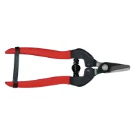 FORBICI COGLIUVA cm 16 - pz. 1
