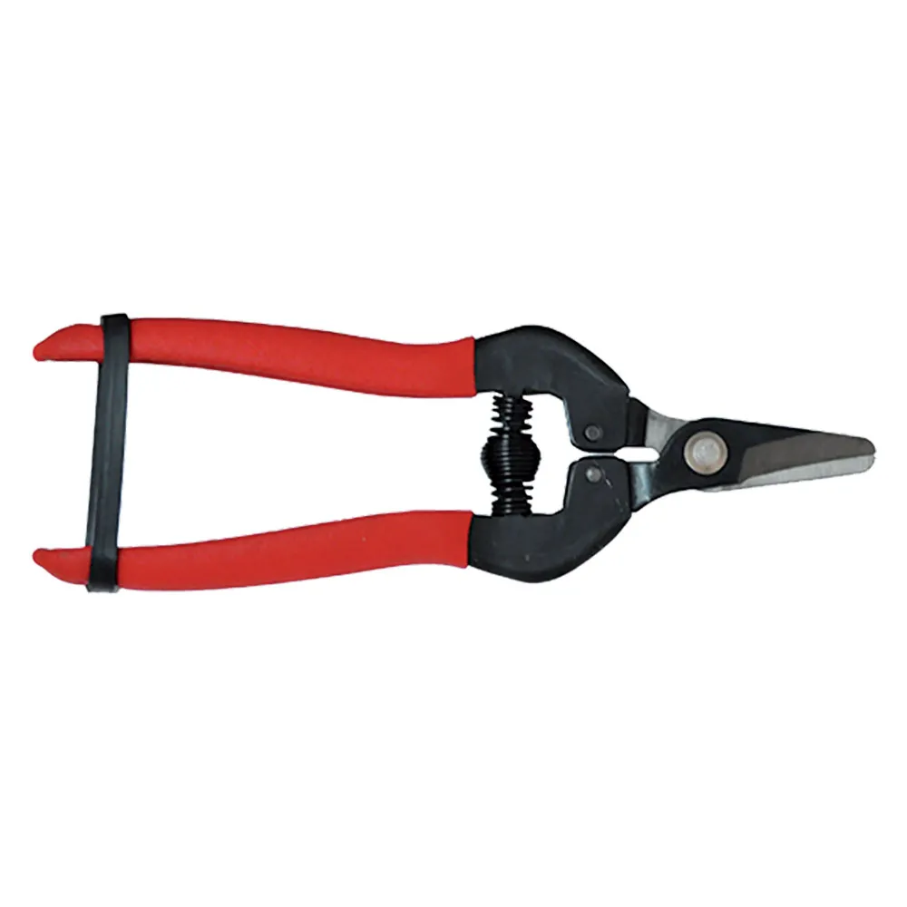 FORBICI COGLIUVA cm 16 - pz. 1 FORBICI COGLIUVA cm 16 - pz. 1