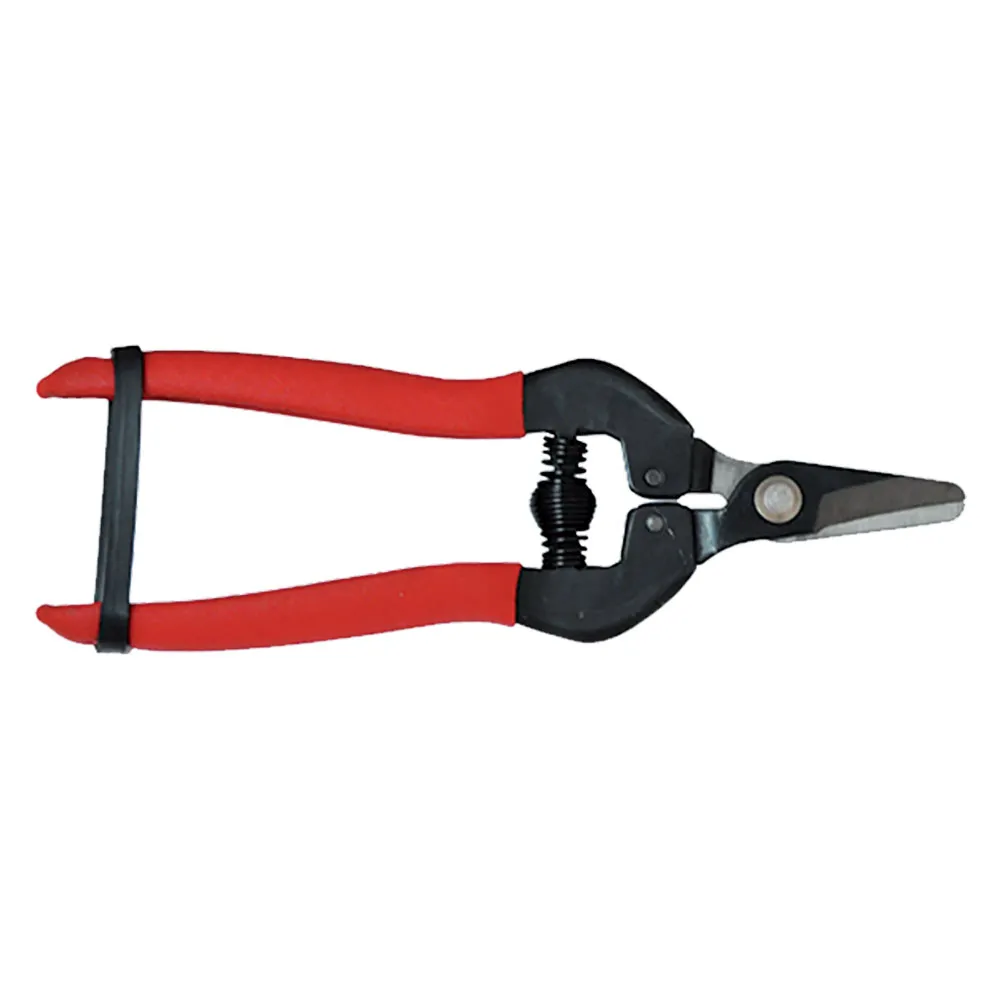 FORBICI COGLIUVA cm 16