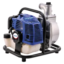 MOTOPOMPA AUTOADESCANTE 'LDWP520' Hp 2