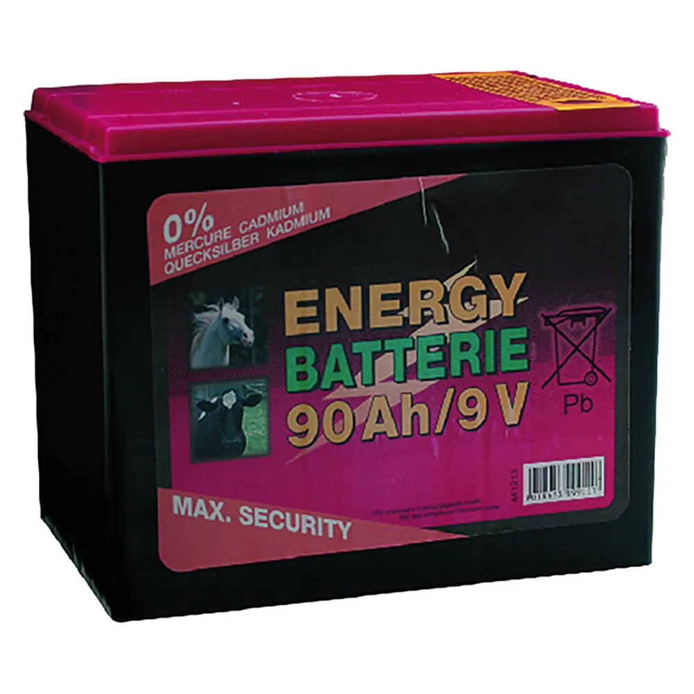 BATTERIA PER ELETTRIFICATORE 90 Ah