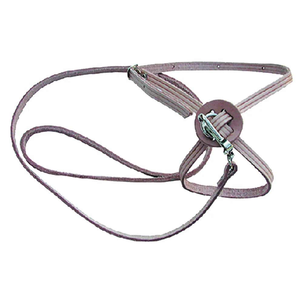 GUINZAGLIO PER CANE/GATTO larg. mm 10 lung. cm 60 GUINZAGLIO PER CANE/GATTO larg. mm 10 lung. cm 60