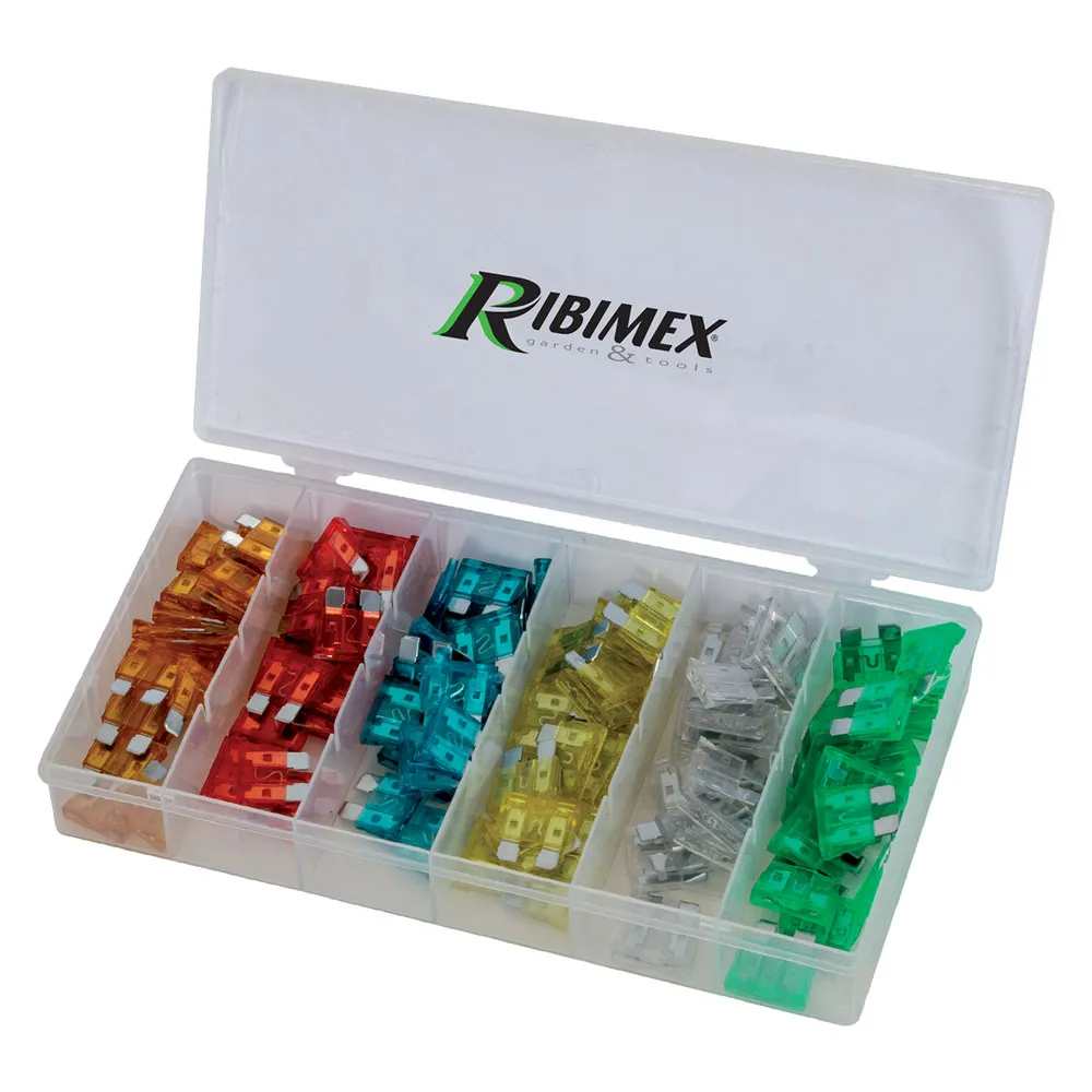 ASSORTIMENTO FUSIBILI 120 pezzi ASSORTIMENTO FUSIBILI 120 pezzi