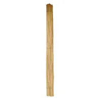 CANNA BAMBU' Ø 24/26 mm. circa - h. mt 2