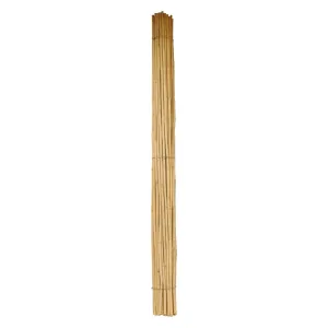 CANNA BAMBU' Ø 24/26 mm. circa - h. mt 2
