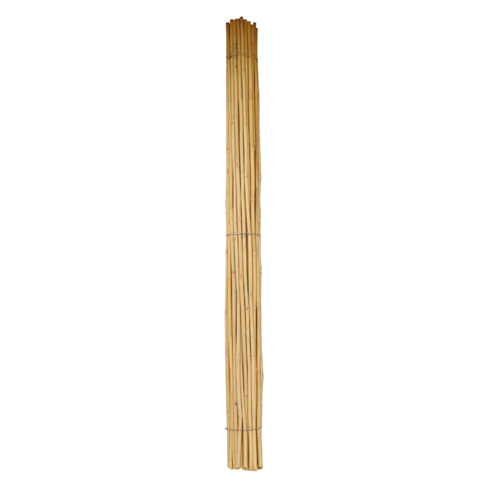 CANNA BAMBU' Ø 28/30 mm. circa - h. mt 2